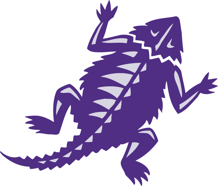 TCU Horned Frogs 2001-Pres Alternate Logo diy DTF decal sticker